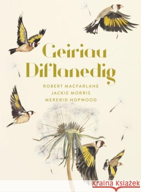 Geiriau Diflanedig Mererid Hopwood Robert Macfarlane Jackie Morris 9781913134617 Graffeg Limited