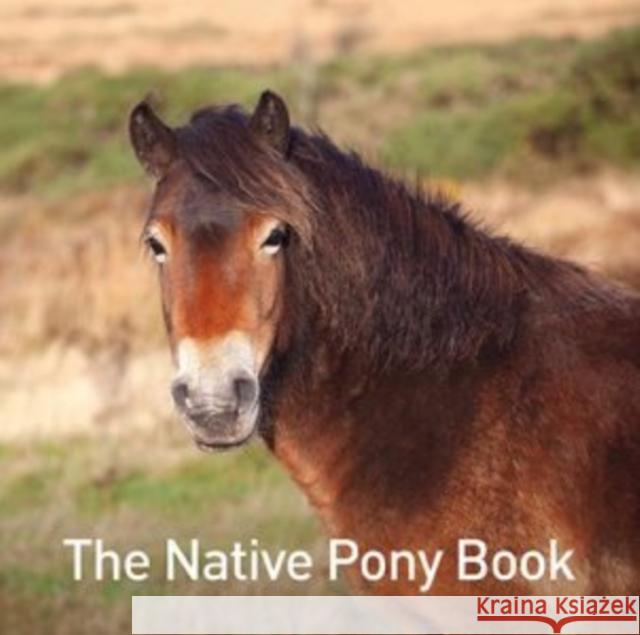 The Native Pony Book Jane Russ 9781913134822 Graffeg Limited