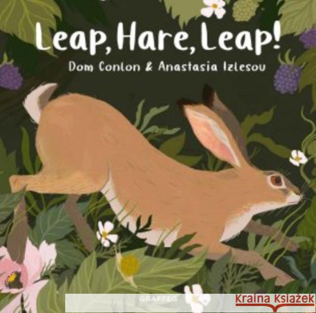 Leap, Hare, Leap! Dom Conlon 9781913134921