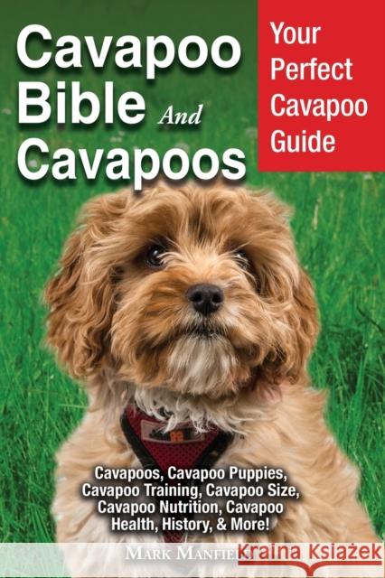 Cavapoo Bible And Cavapoos: Your Perfect Cavapoo Guide Cavapoos, Cavapoo Puppies, Cavapoo Training, Cavapoo Size, Cavapoo Nutrition, Cavapoo Healt Mark Manfield 9781913154004 Dym Worldwide Publishers