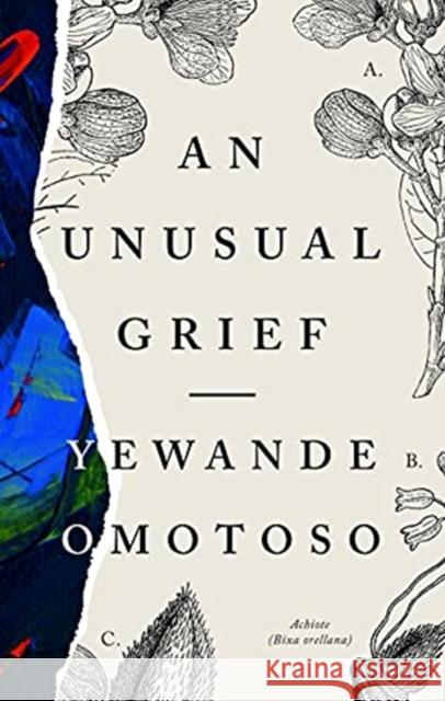 An Unusual Grief Yewande Omotoso 9781913175139 Cassava Republic Press