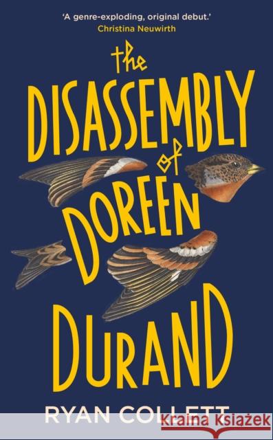 The Disassembly of Doreen Durand Ryan Collett 9781913207397