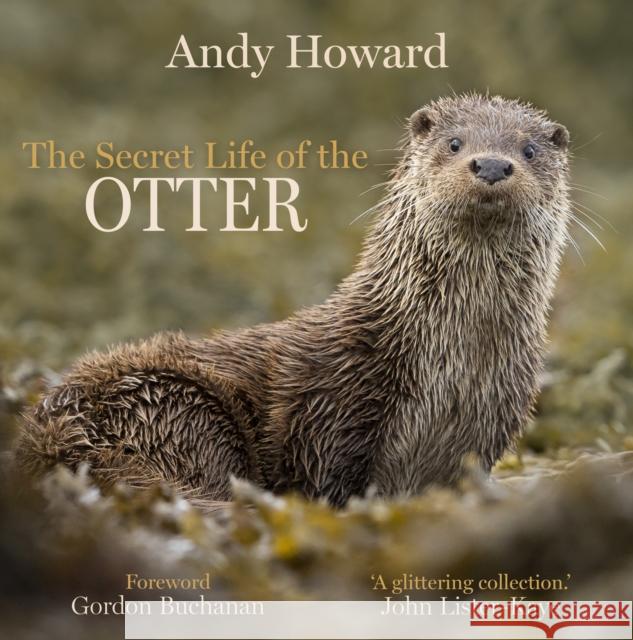 The Secret Life of the Otter Andy Howard Gordon Buchanan 9781913207410