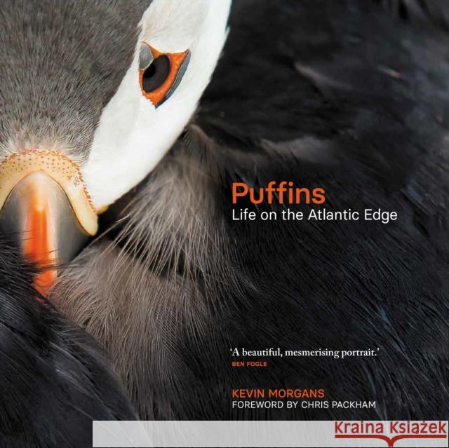 Puffins: Life on the Atlantic Edge Kevin Morgans 9781913207779 Sandstone Press Ltd