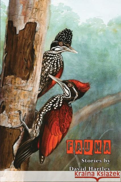 Fauna David Hartley 9781913211608