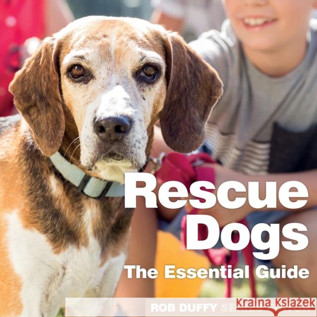 Rescue Dogs: The Essential Guide Robert Duffy 9781913296025 BX Plans Ltd