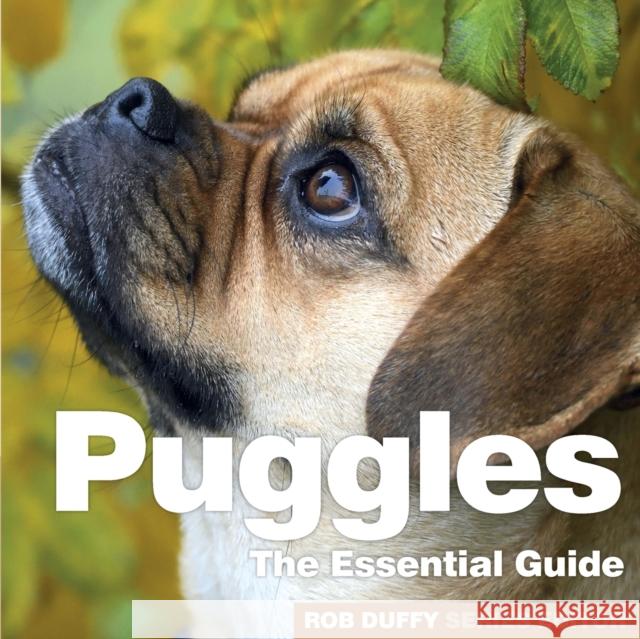 Puggles: The Essential Guide Robert Duffy 9781913296230 BX Plans Ltd