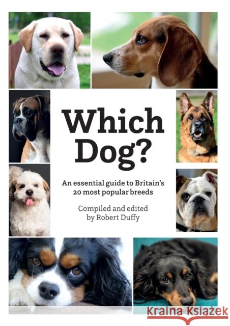 Which Dog Robert Duffy 9781913296254 BX Plans Ltd