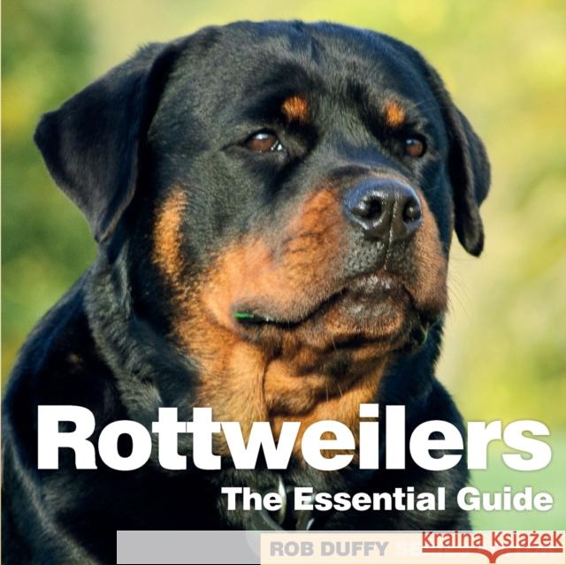 Rottweilers: The Essential Guide Robert Duffy 9781913296360 BX Plans Ltd