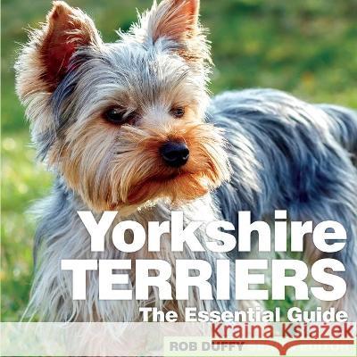 Yorkshire Terriers: The Essential Guide Robert Duffy 9781913296377 Bxplans.Ltd