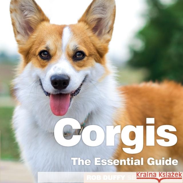 Corgis: The Essential Guide Robert Duffy 9781913296384 Bxplans.Ltd