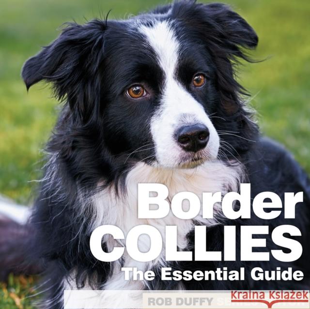 Border Collies: The Essential Guide Robert Duffy 9781913296483 Bxplans.Ltd