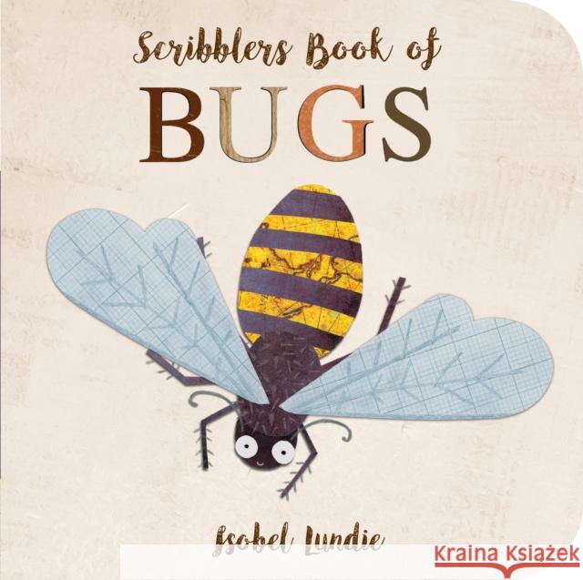 Scribblers Book of Bugs Isobel Lundie 9781913337353