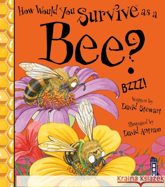How Would You Survive As A Bee? David Stewart 9781913337735 Salariya Book Company Ltd