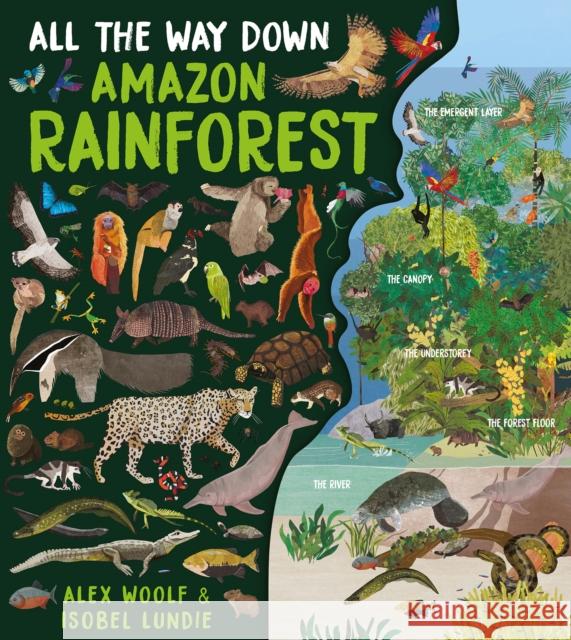 All The Way Down: Amazon Rainforest Alex Woolf 9781913337988