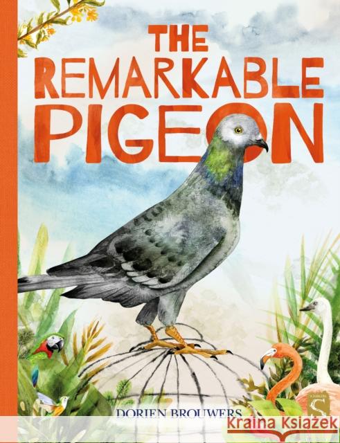 The Remarkable Pigeon Dorien Brouwers 9781913337995 Salariya Book Company Ltd