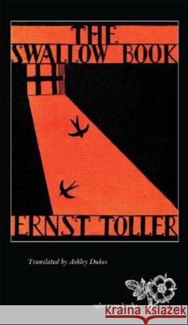 The Swallow Book Ernst Toller 9781913378011