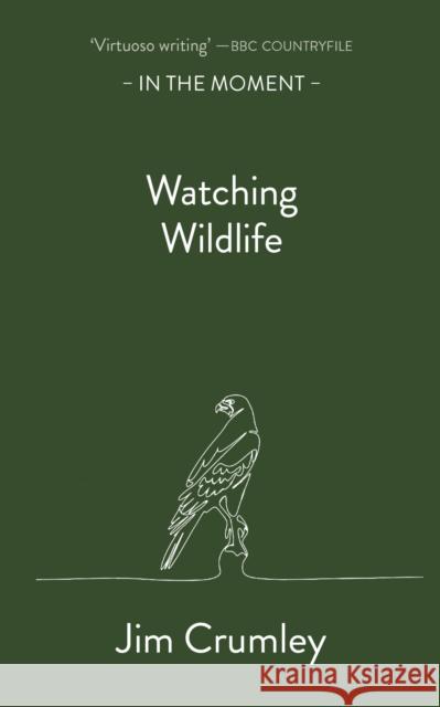 Watching Wildlife  9781913393847 Saraband