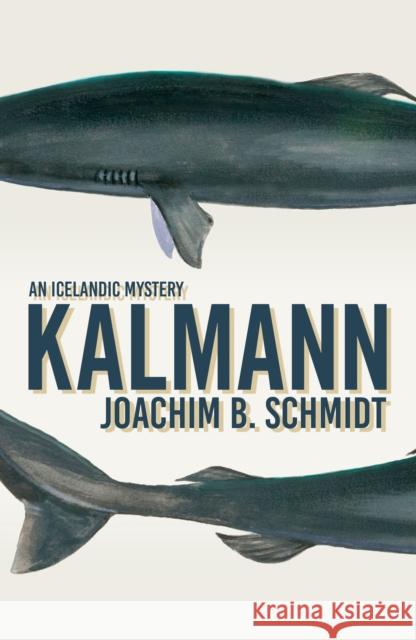 Kalmann Joachim Schmidt 9781913394684