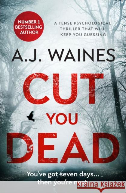 Cut You Dead: A Tense Psychological Thriller That Will Keep You Guessing Waines, Aj 9781913419424 Bloodhound Books