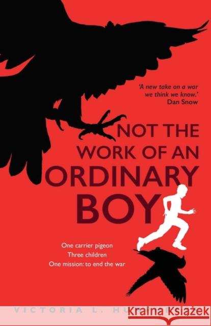 Not the Work of an Ordinary Boy Victoria L. Humphreys 9781913432614 Stairwell Books