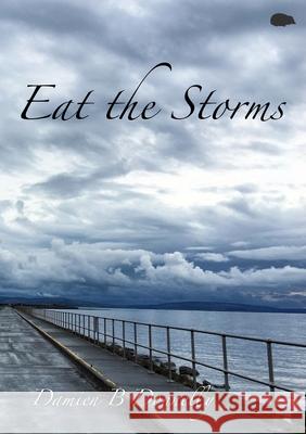 Eat the Storms Damien B. Donnelly 9781913499266 Hedgehog Poetry Press