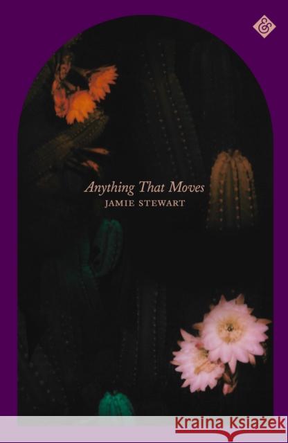 Anything That Moves Jamie Stewart 9781913505585 And Other Stories