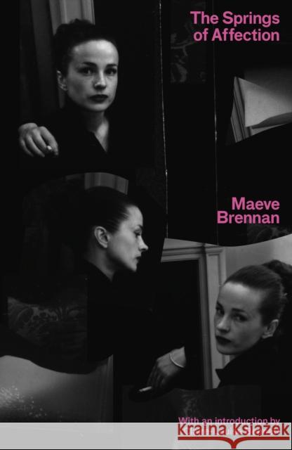 The Springs of Affection Maeve Brennan 9781913512255