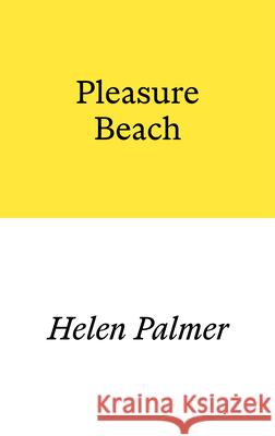 Pleasure Beach Helen Palmer 9781913513443