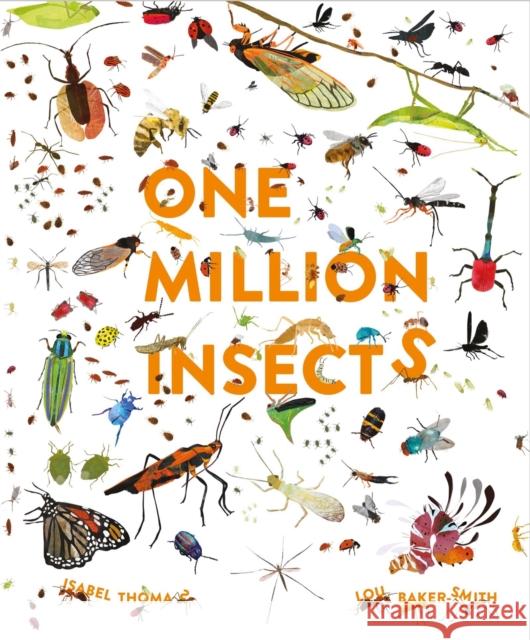 One Million Insects Isabel Thomas 9781913519025 Hachette Children's Group