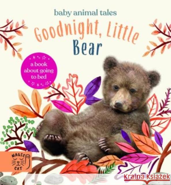 Goodnight, Little Bear: A Book About Going to Bed AMANDA WOOD 9781913520342