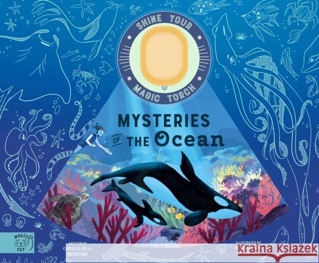 Mysteries of the Ocean: Includes Magic Torch Which Illuminates More Than 50 Marine Animals Camilla de la Bedoyere 9781913520991 Magic Cat Publishing