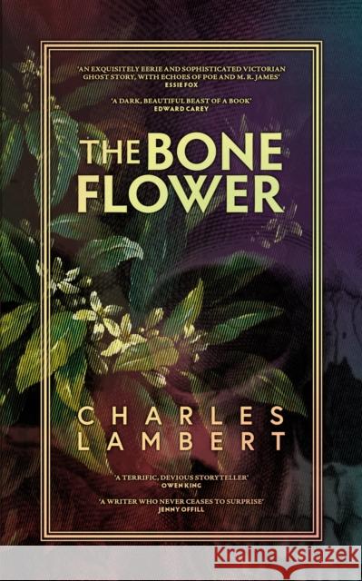 The Bone Flower Charles Lambert 9781913547271 Gallic Books