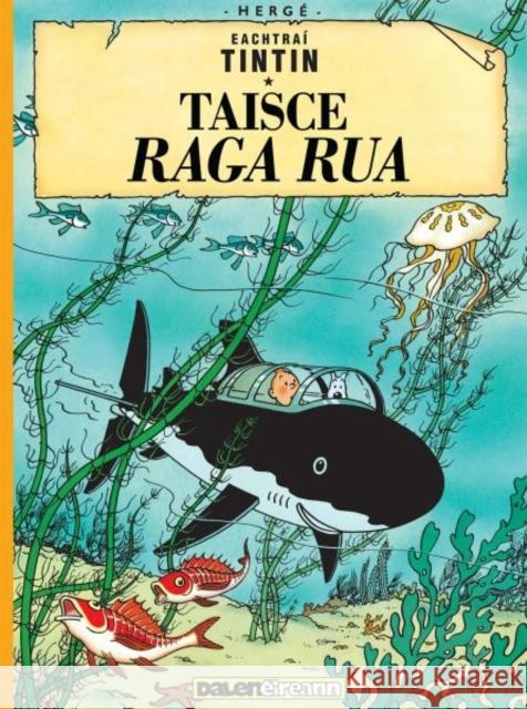 Tintin: Taisce Raga Rua (Tintin in Irish) Herge 9781913573126