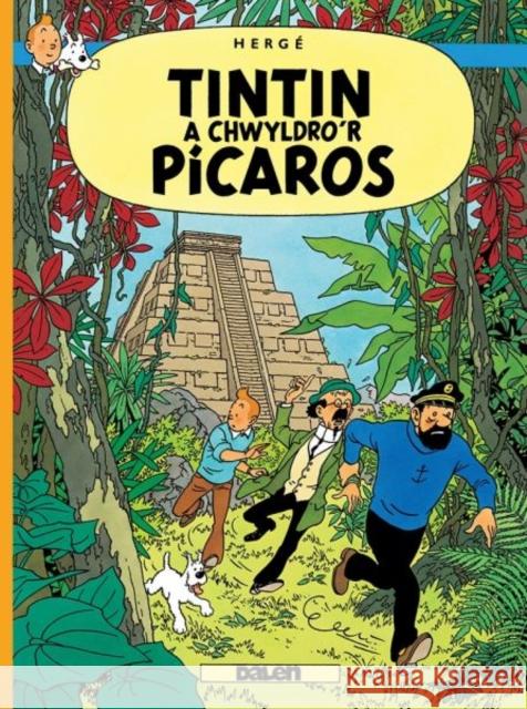 Tintin a Chwyldro'r Picaros Herge 9781913573317