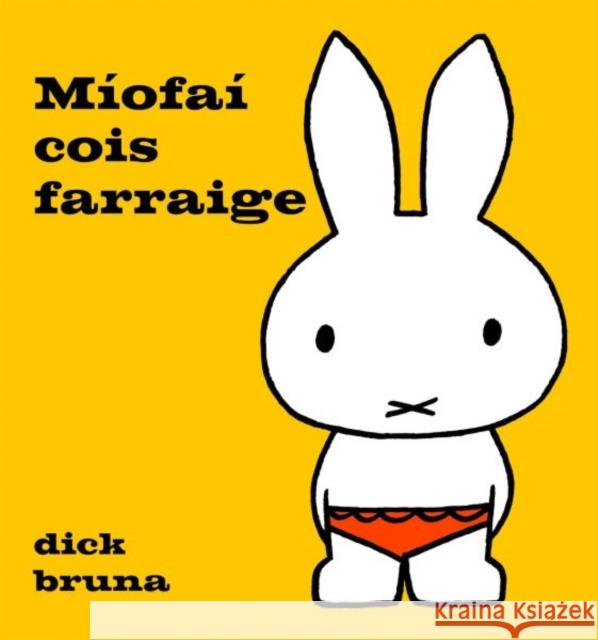 Miofai cois farraige Dick Bruna 9781913573614 Dalen (Llyfrau) Cyf