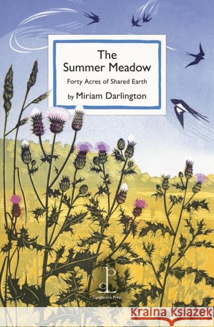 The Summer Meadow: Forty Acres of Shared Earth Miriam Darlington 9781913627423