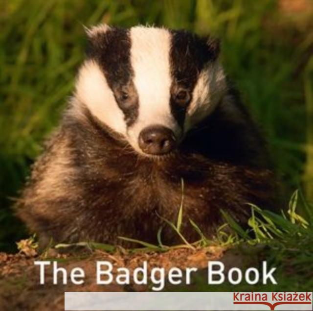 The Nature Book Series: The Badger Book Jo Byrne 9781913634209 Graffeg Limited