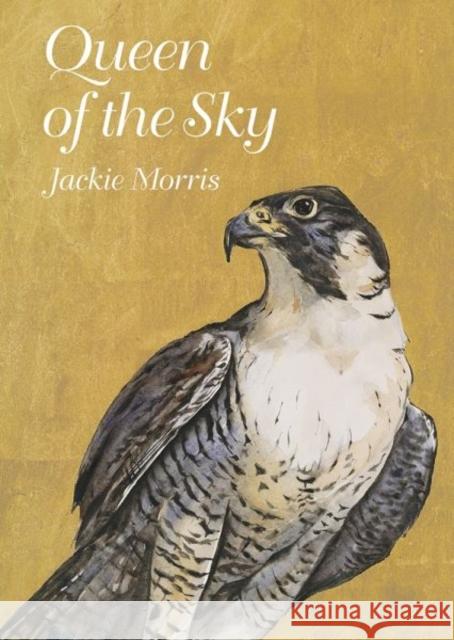 Queen of the Sky Jackie Morris 9781913634773 Graffeg Limited