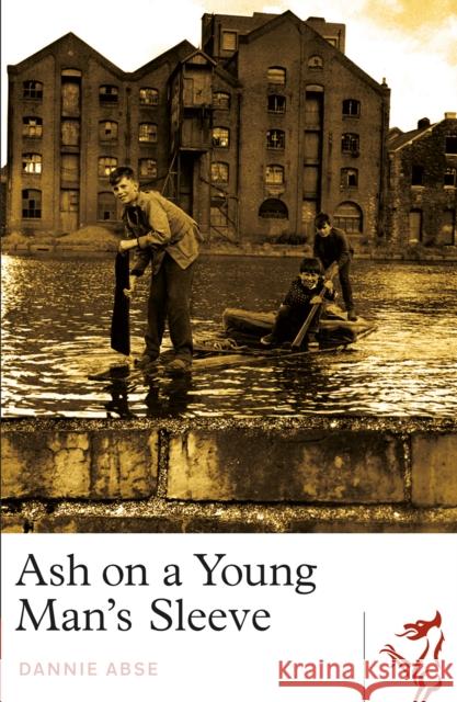 Ash on a Young Man's Sleeve Dannie Abse 9781913640118 Parthian Books