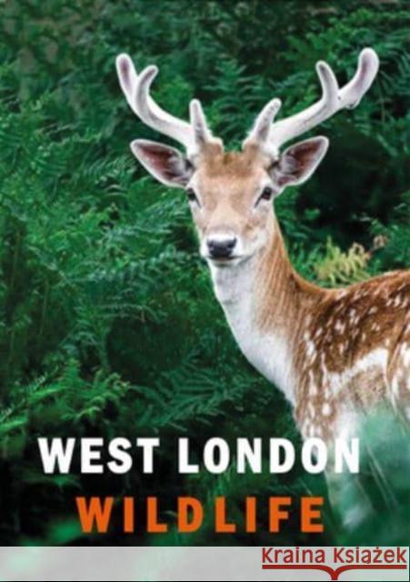 West London Wildlife  9781913641306 Aurora Metro Publications