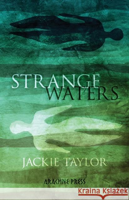 Strange Waters Jackie Taylor 9781913665364