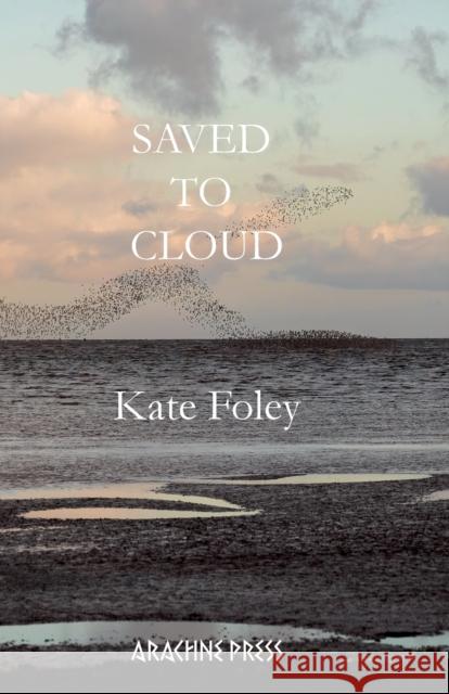 Saved to Cloud Kate Foley 9781913665760 Arachne Press