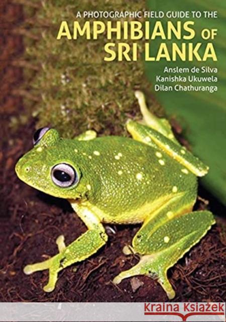 A Photographic Field Guide to the Amphibians of Sri Lanka Dilan Chathuranga 9781913679118 John Beaufoy Publishing Ltd