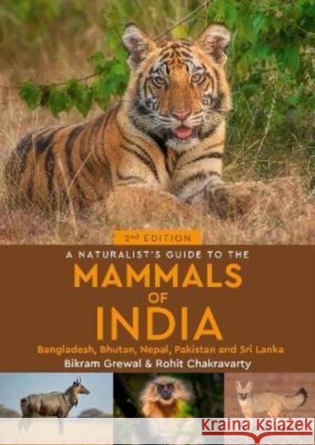 A Naturalist's Guide to the Mammals of India Rohit Chakravarty 9781913679200