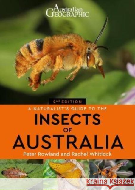 A Naturalist's Guide to the Insects of Australia Peter Rowland 9781913679262