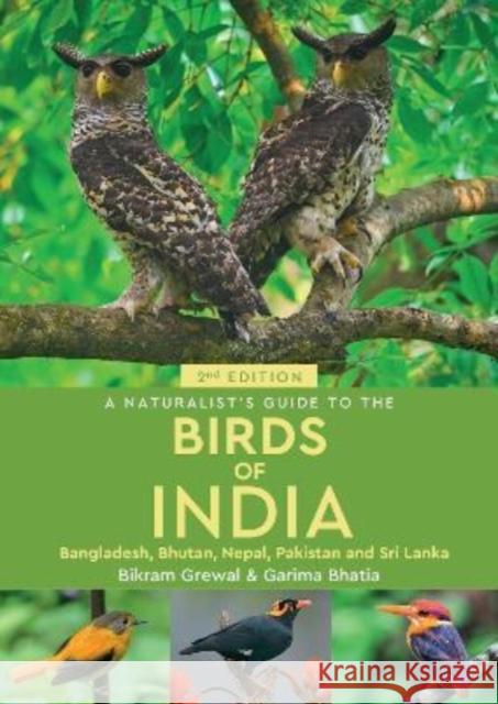 A Naturalist's Guide to the Birds of India Bikram Grewal 9781913679347 John Beaufoy Publishing Ltd