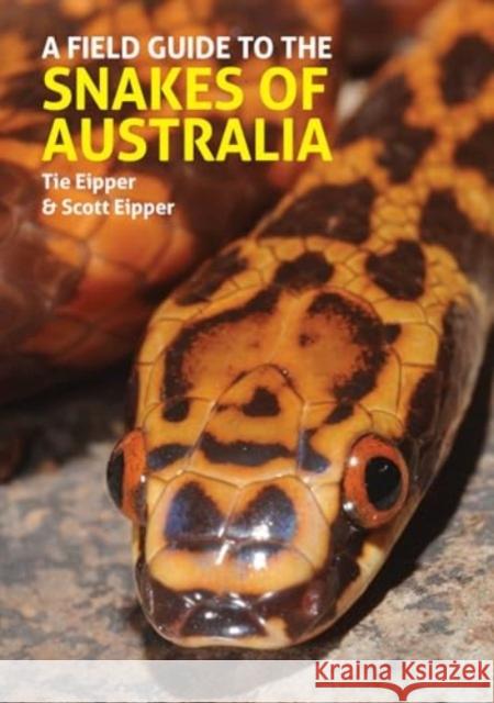 A Field Guide to the Snakes of Australia Scott Eipper 9781913679637