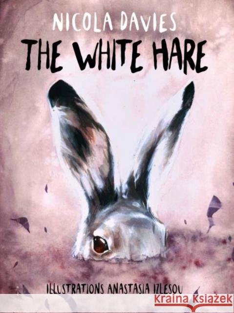 Shadows and Light: The White Hare Nicola Davies 9781913733476 Graffeg Limited