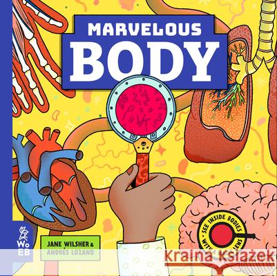 Marvelous Body: A Magic Lens Book  9781913750589 What on Earth Books